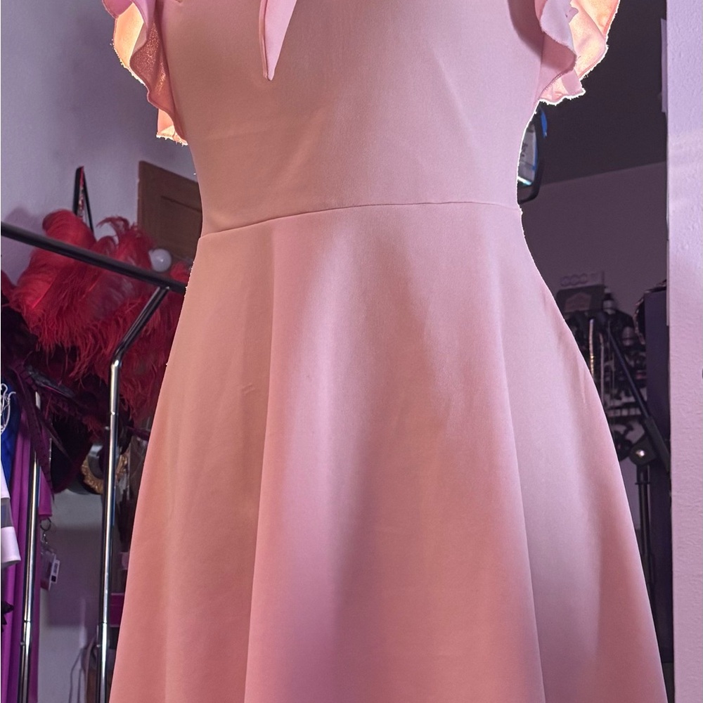 Spring Season Adjustable Tie-Neck Pink Fit & Flare Dress - Picture 8 of 16